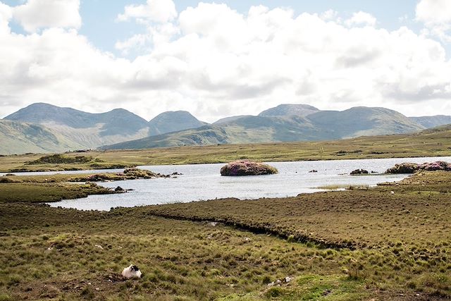 Voyage : Péninsules de l'ouest irlandais et Connemara Voyage Péninsules de l'ouest irlandais et Connemara