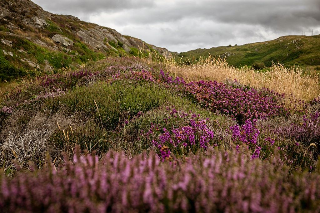 Image Randonnée Irlande - Parc National de Killarney