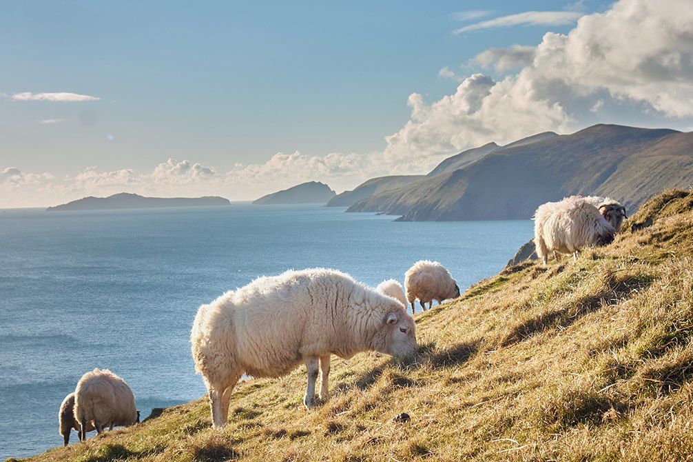 Image Ring of Kerry à vélo - Parc national de Killarney - Wild Atlantic Way à vélo