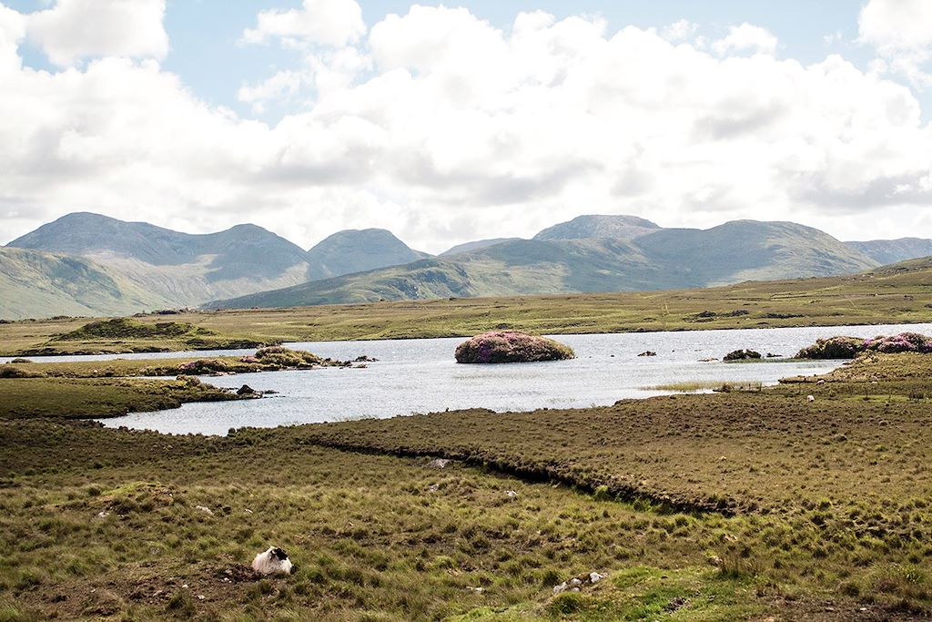 Image Tour de l'Irlande - Dingle Way - Inishmore - Chaussée des géants - Belfast