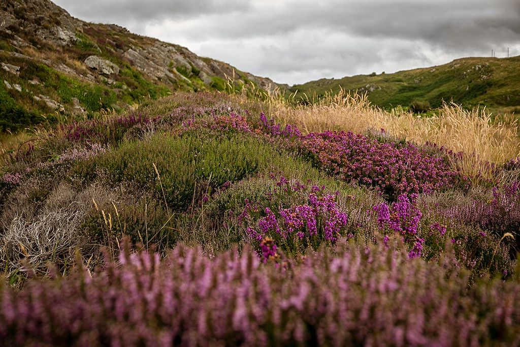 Image Voyage Irlande - Parc National de Killarney - Randonnée dans le Kerry