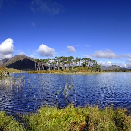 Trek Irlande Connemara