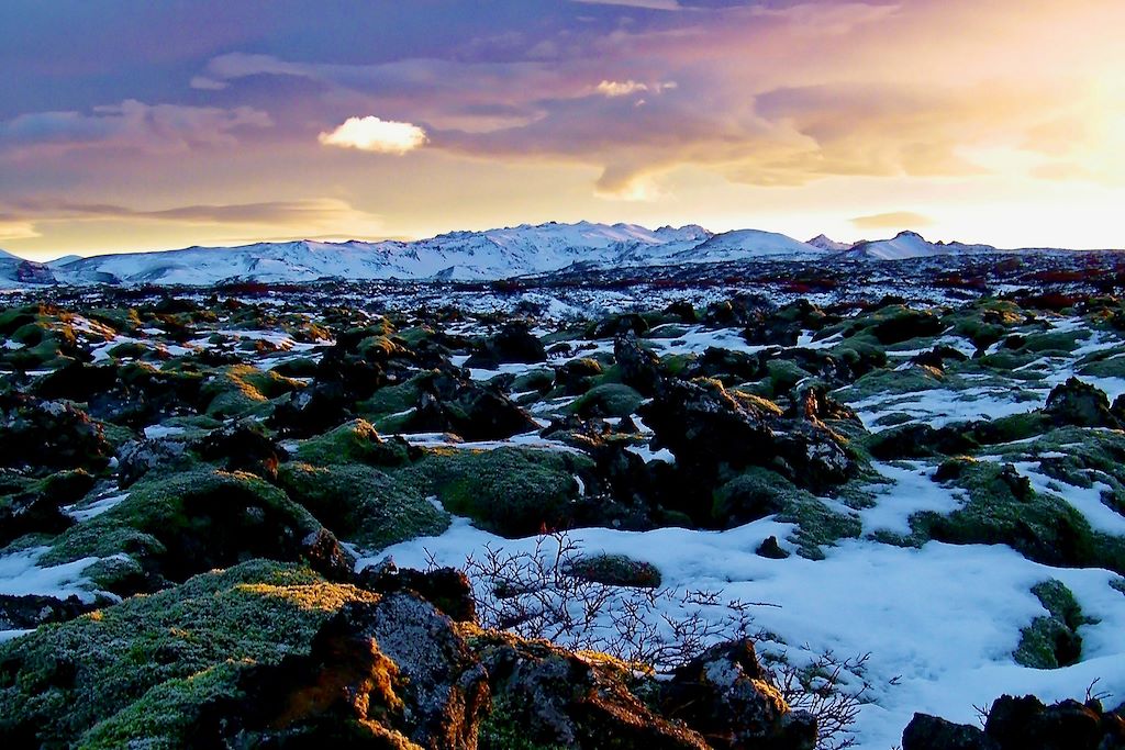 Reykjanes hiver – Islande 