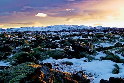 Aurores boréales Islande