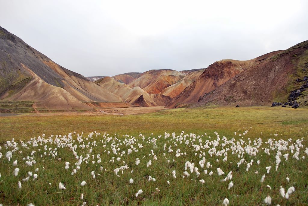 Image Trek Landmannalaugar - Trek Thórsmörk - Ascension De Bláhnúkur