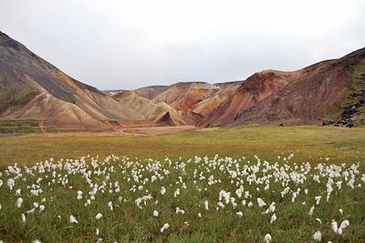 Départ trek Landmannalaugar - Islande