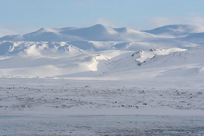 Islande