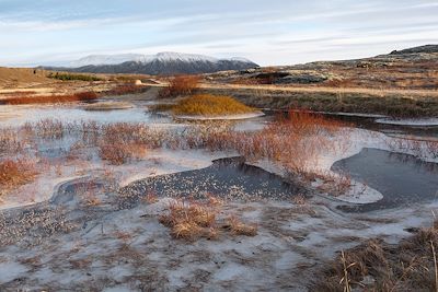 Thingvellir - Islande