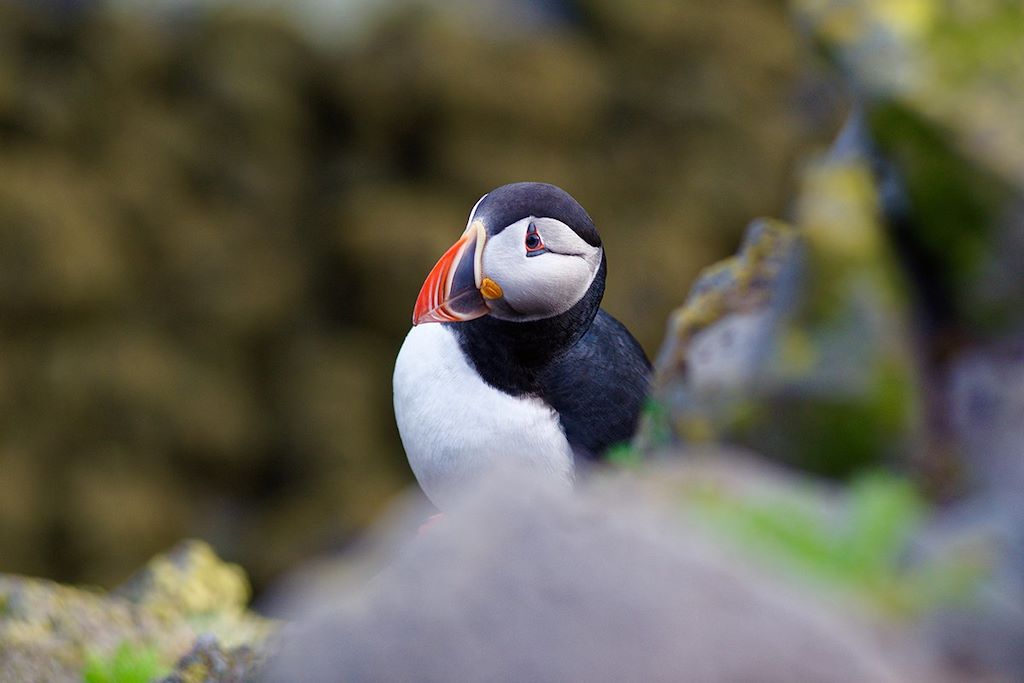 Le tour de l'Islande