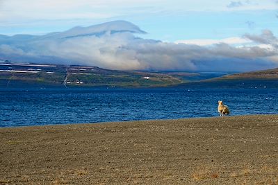 Isafjardardjup – Islande 