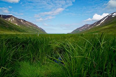 Voyage Bord de mer et îles Islande