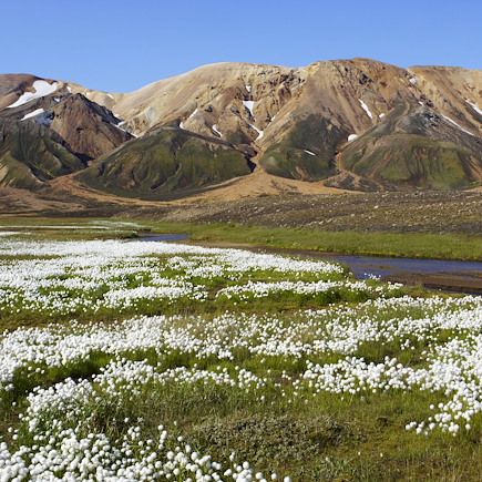 Randonnée Islande