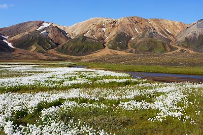 Landmannalaugar - région de Sudurland - Islande