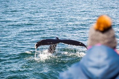 Voyage Terres Polaires Islande