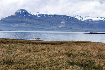 Rennes - Fjords de l'Est - Islande