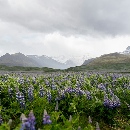 Randonnée Islande