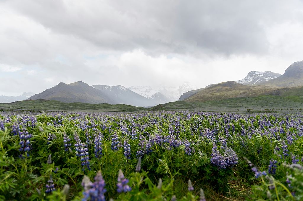 Image Voyage Islande - Randonnée Islande