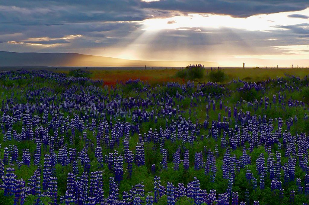 Image Trek Islande - Randonnée Islande