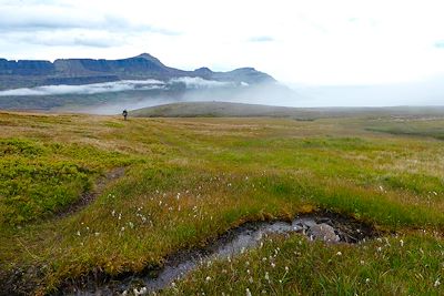 © Marianne Furlani - Lodmundarfjordur - Islande Lodmundarfjordur - Islande