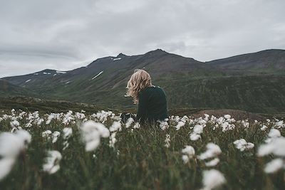 Femme assise dans un champs de fleurs en Islande