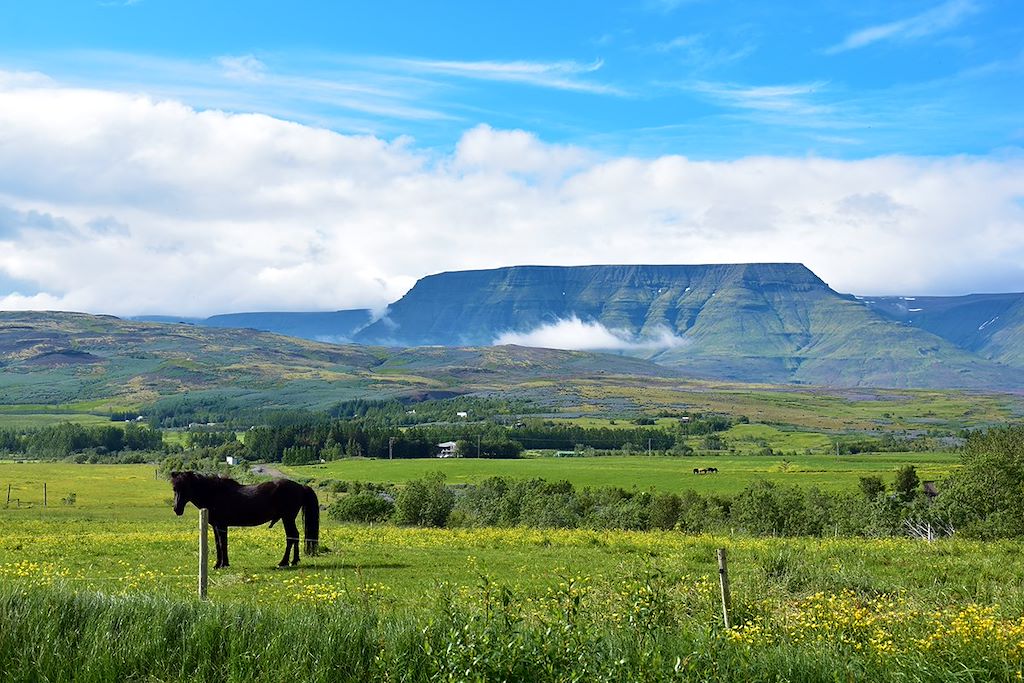 Image L'Islande En Famille - Famille Islande - Trolls Islande -