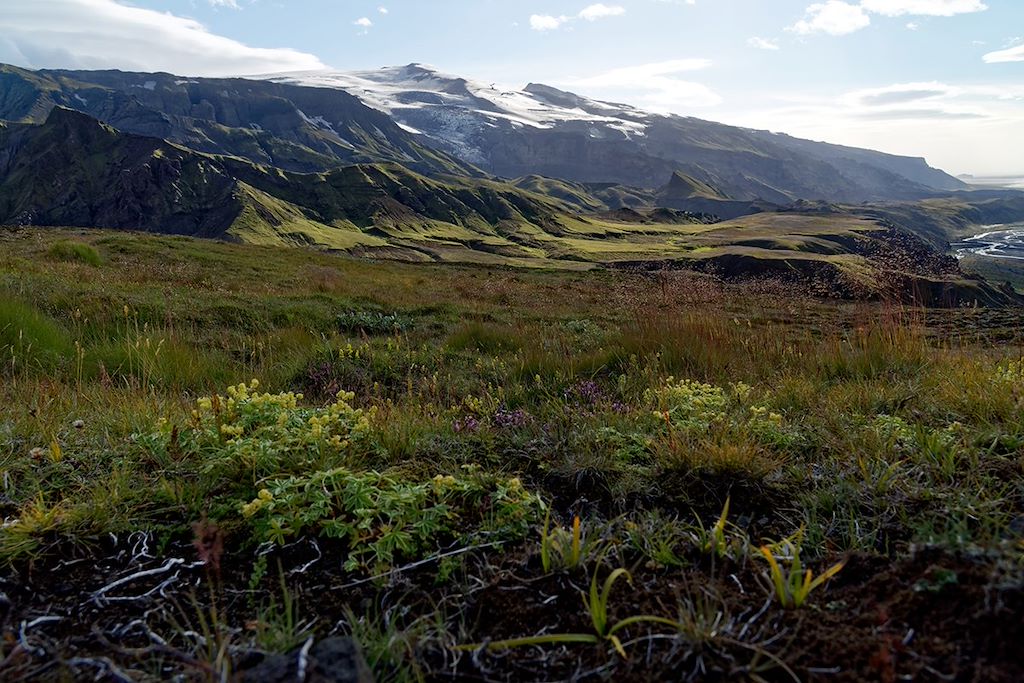 Image L'Islande En Famille - Famille Islande - Trolls Islande -