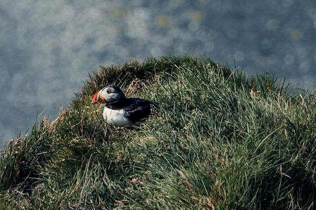 Voyage L'Eclipse Polaire