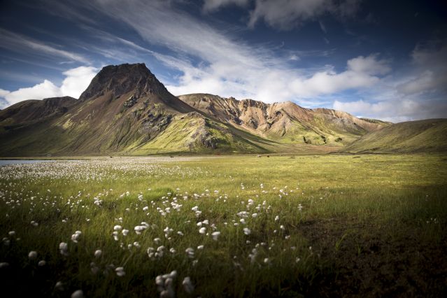 Hautes terres - Islande