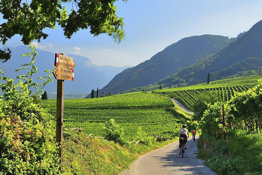 Voyage Des montagnes à la lagune : Bolzano - Venise