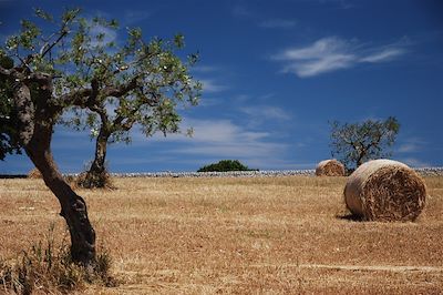 Voyage Gastronomie, culture et soleil des Pouilles à vélo 2