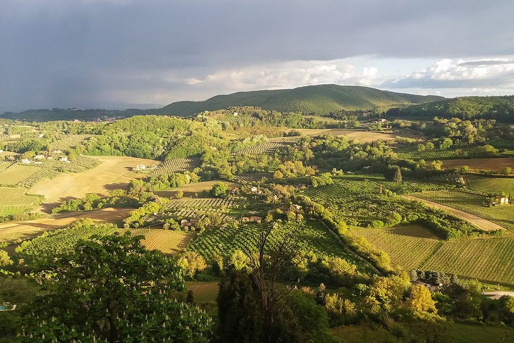 Voyage Sur les crêtes toscanes, de Sienne au Val d'Orcia 2