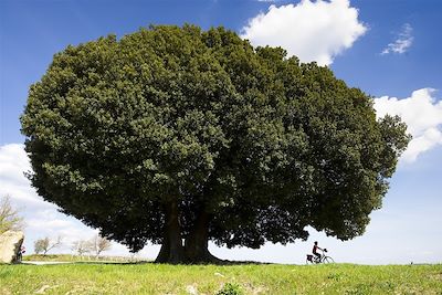 Voyage Patrimoine et Nature Italie