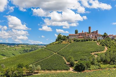 Village perché entouré de vignes, Piemont-Italie