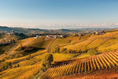 Les Langhe près d'Alba - Piémont - italie