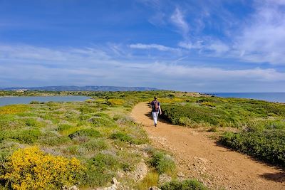 © argalis / iStock - Réserve naturelle de Vendicari - Sicile - Italie Réserve naturelle de Vendicari - Sicile - Italie