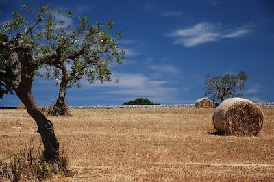 © Clemence Carcanague - La Vallée d'Itria dans la région des Pouilles - Italie La Vallée d'Itria dans la région des Pouilles - Italie