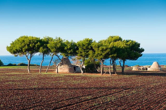 Voyage Roadtrip dans les Pouilles, trulli et mer azur 