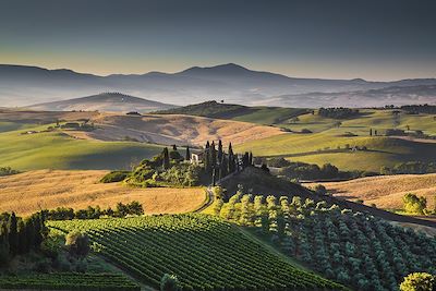 Voyage Sur les crêtes toscanes, de Sienne au Val d'Orcia 1