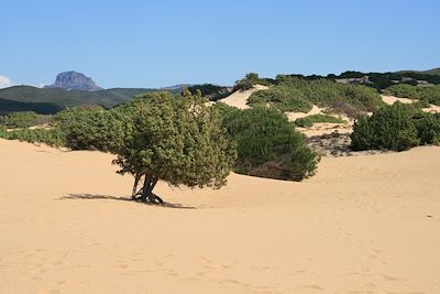 Voyage Roadtrip en Sardaigne du sud 2