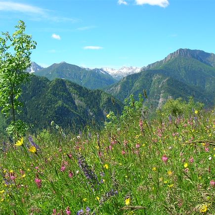 VTT / Gravel Italie Alpes italiennes