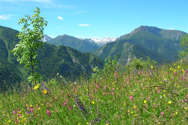 Vélo : Charme du Val Maira en VTT électrique Voyage Charme du Val Maira en VTT électrique