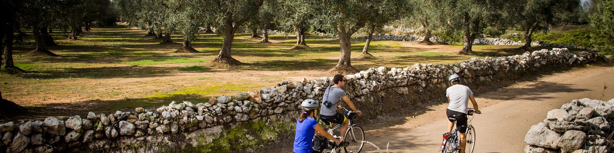 Le Salento gourmet à vélo