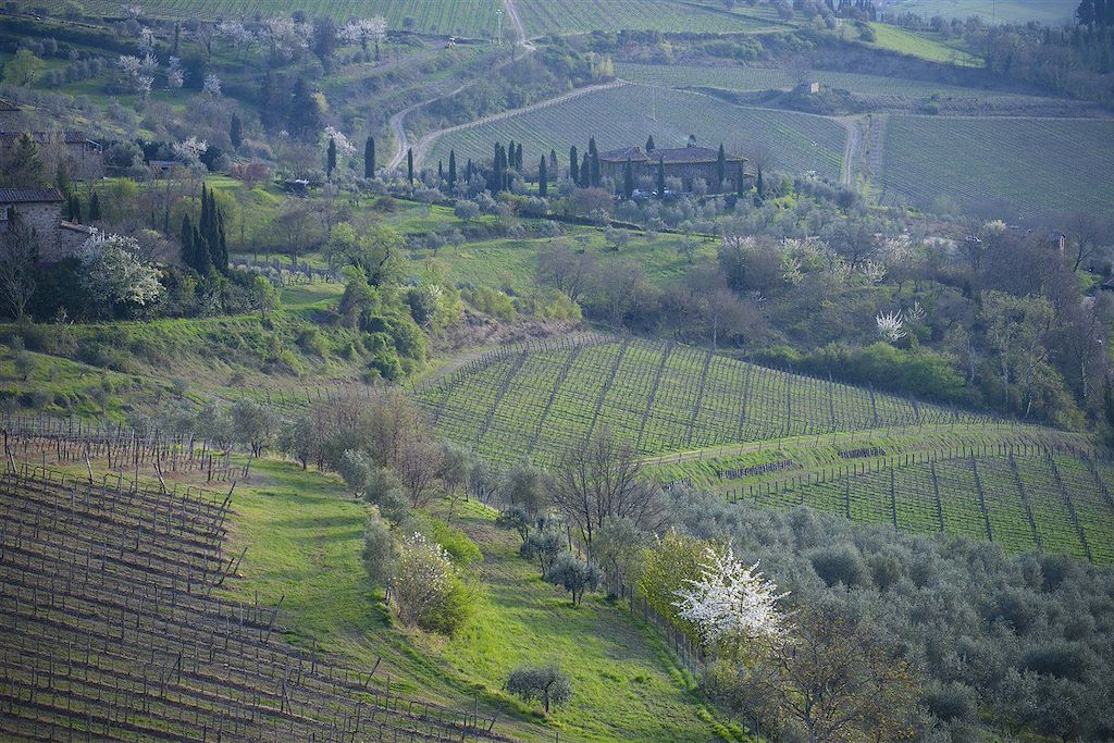 Image Strade Bianche - Voyage Vélo Eroica - le Chianti à vélo