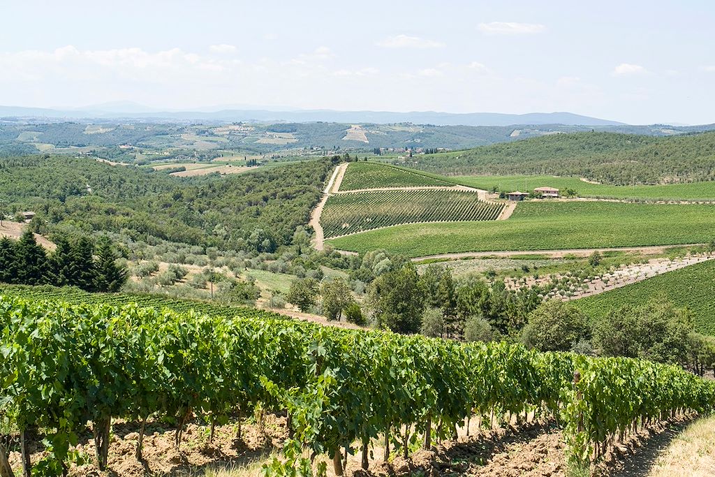 Image Strade Bianche - Voyage Vélo Eroica - le Chianti à vélo