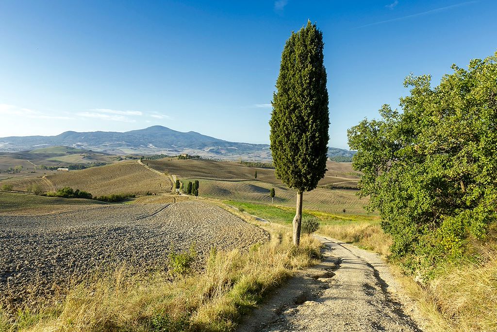 Image Visite Sienne - Visite Montepulciano - Randonnée Val D'Orcia