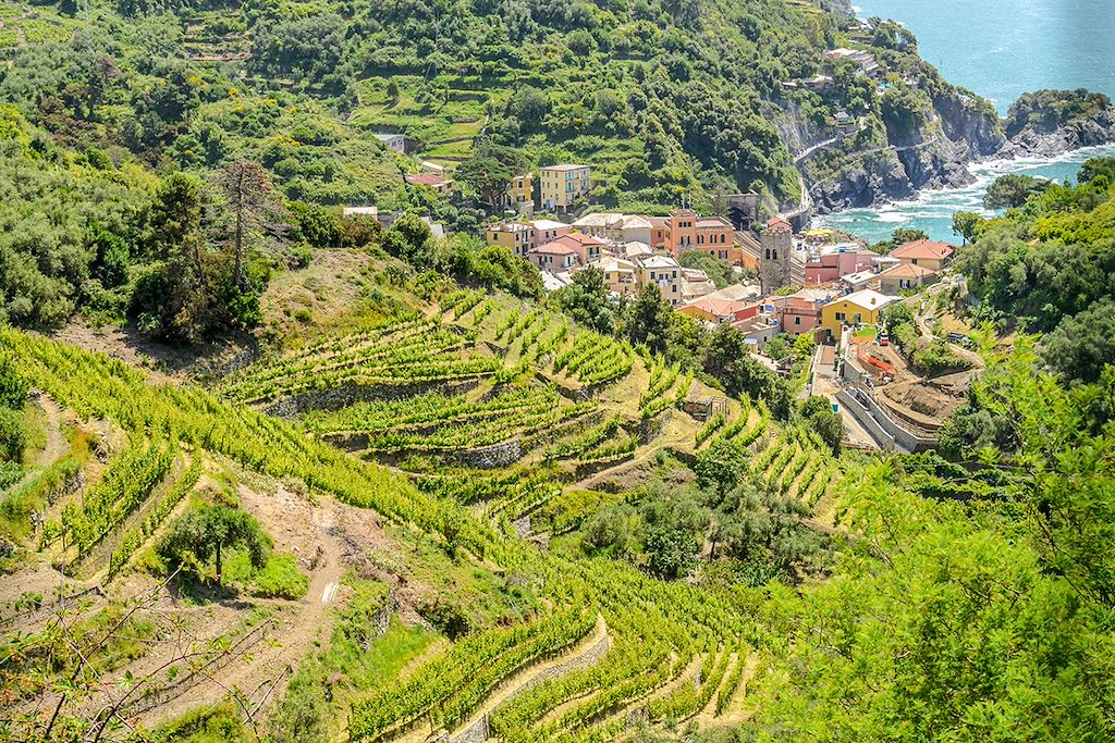 Image Voyage Cinque Terre en Italie - Randonnée Monterosso