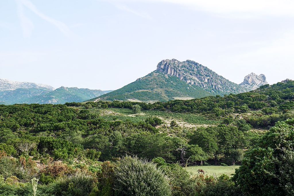 Image Trek Selvaggio Blu - Golfe D'Orosei - Autotour En Sardaigne