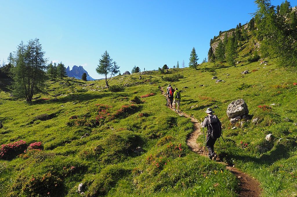 Image Randonnée Dolomites – tre cime - massif de puez