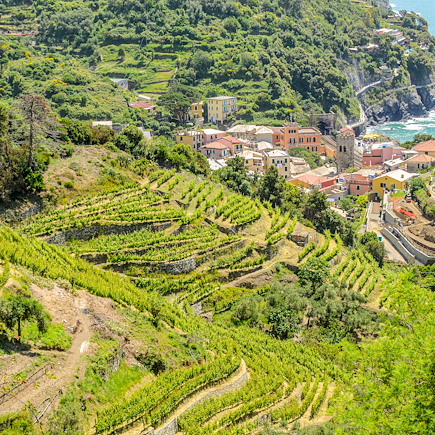 Randonnée Italie Cinque Terre à la Toscane