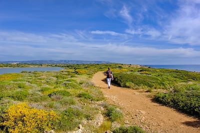 © argalis / iStock - Réserve naturelle de Vendicari - Sicile - Italie Réserve naturelle de Vendicari - Sicile - Italie